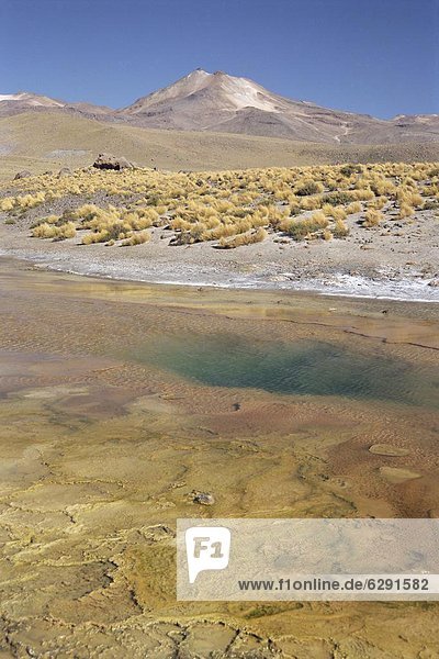 Farbe  Farben  Geysir  Atacama  El Tatio  kochen  Chile  Südamerika