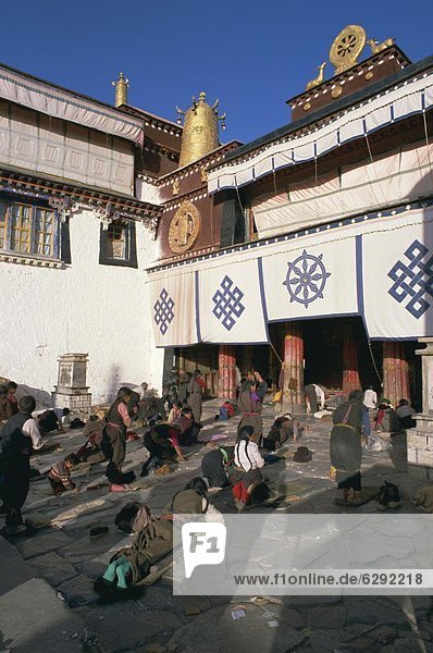 Tibetan Buddhist pilgrims prostrating in front of the Jokhang temple  Lhasa  Tibet  China  Asia
