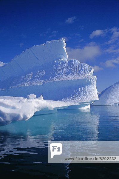 Eisberg  Wabe  Muster  Antarktis
