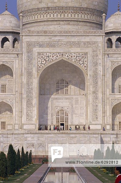 Detail of the Taj Mahal  UNESCO World Heritage Site  Agra  Uttar Pradesh  India  Asia