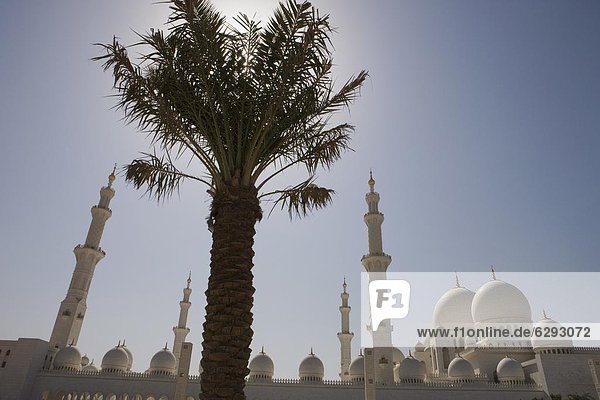 Abu Dhabi  Hauptstadt  Kuppel  Vereinigte Arabische Emirate  VAE  Naher Osten  Moschee  neu