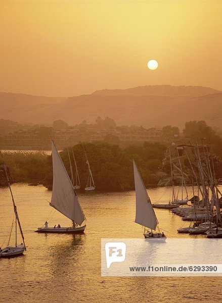 Nordafrika  Sonnenuntergang  Fluss  Afrika  Assuan  Ägypten