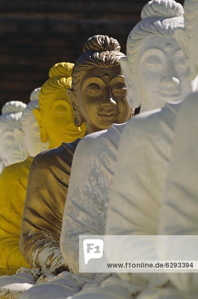 Statue  Gegenstand  Asien  Buddha  Thailand