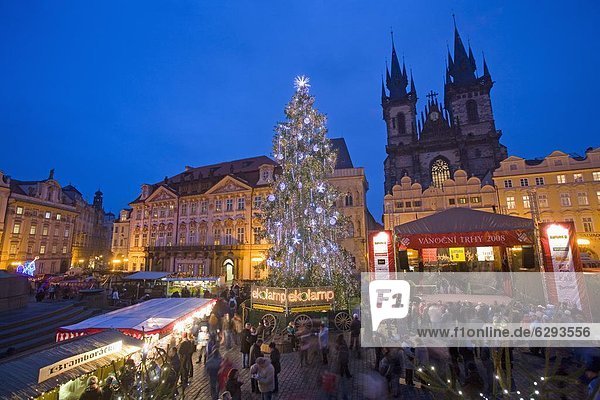 Old Town Square at Christmas time and Tyn Cathedral  Prague  Czech Republic  Europe