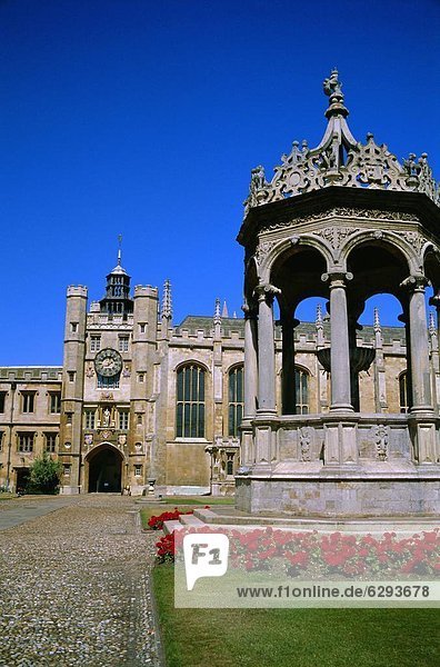 Großbritannien  Cambridgeshire  England  Trinity College