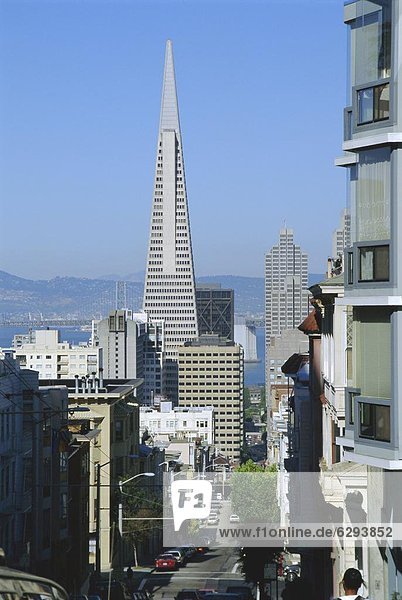 Vereinigte Staaten von Amerika  USA  Nordamerika  Kalifornien  San Francisco  Transamerica Pyramid