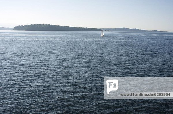 Vereinigte Staaten von Amerika  USA  Tretboot  Insel  Nordamerika  Geräusch  Washington State