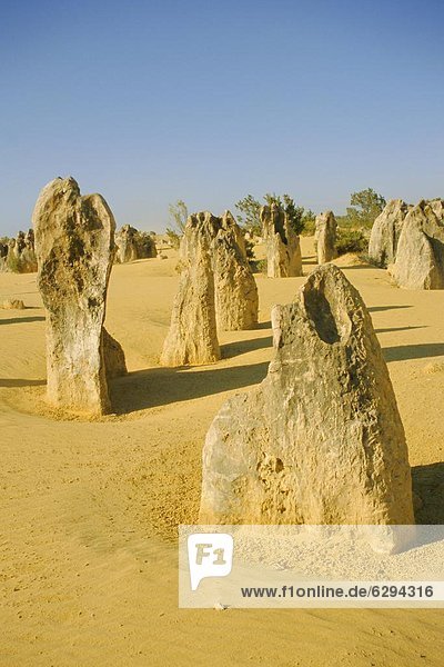 Pinnacles Desert  Nambung Nationalpark  Westaustralien  Australien