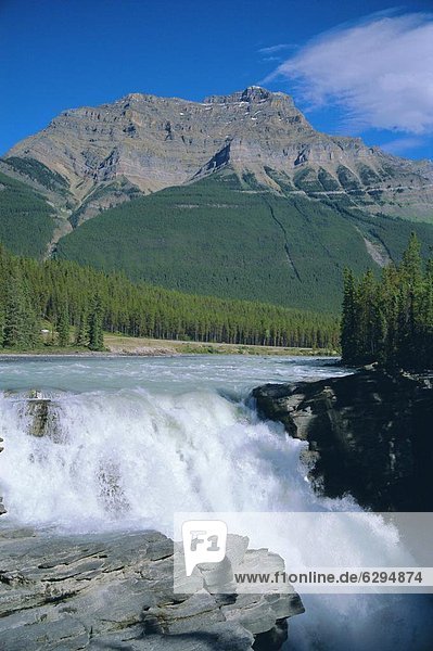 Athabasca Falls  Jasper National Park  Rocky Mountains  Alberta  Canada