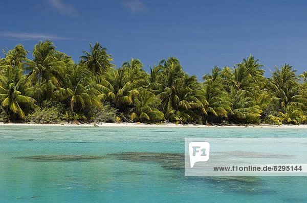 Fakarava  Tuamotu-Archipel  Französisch-Polynesien  Pazifische Inseln  Pazifik