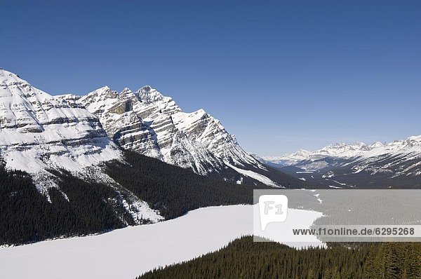 Nordamerika  Rocky Mountains  Peyto Lake  Banff Nationalpark  UNESCO-Welterbe  Alberta  Kanada
