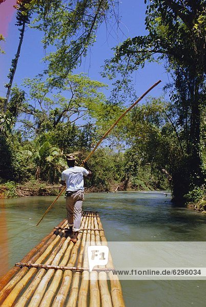 Fluss  Karibik  Westindische Inseln  Jamaika  Rafting