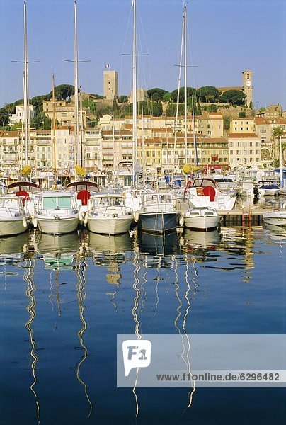 The Port  Cannes  Cote d'Azur  Provence  France