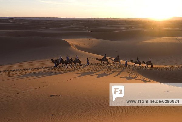 Nordafrika  nehmen  Sonnenuntergang  fahren  Tourist  Afrika  Merzouga  Marokko  mitfahren