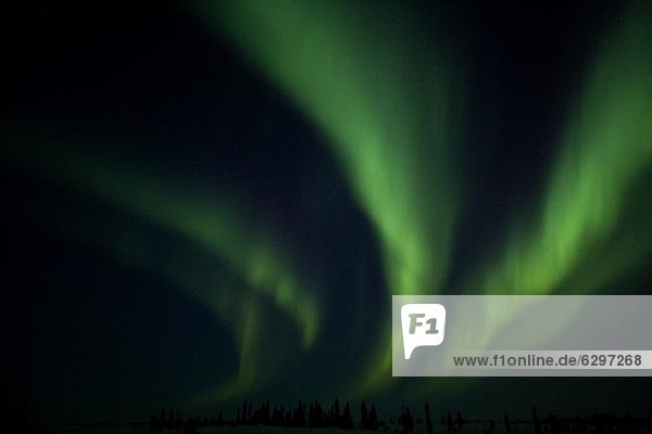 Polarlicht  Kanada  Manitoba