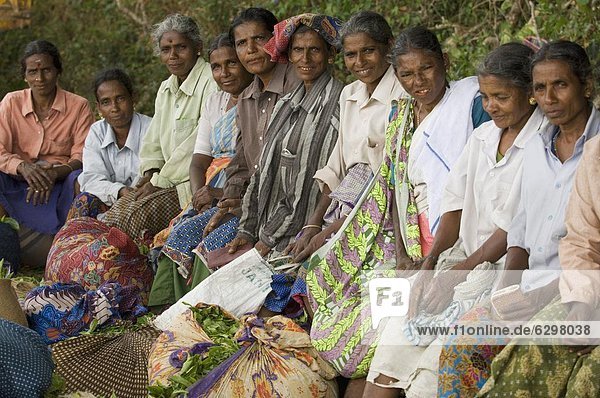 Tea Plantation Workers  Kerala  India