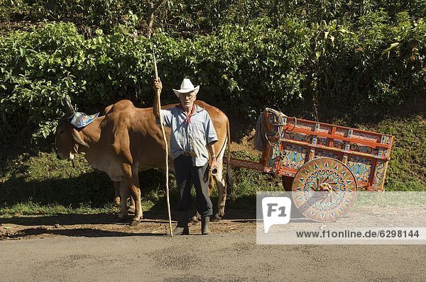 Man with decortated ox cart  Central Highlands  Costa Rica