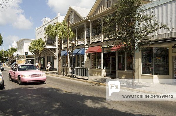 Pink taxis  Duval Street  Key West  Florida  United States of America  North America
