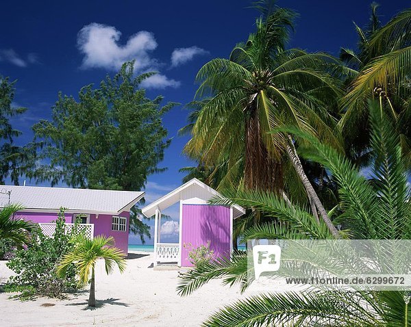 Hütte  Strand  Baum  bunt  Karibik  Westindische Inseln  Mittelamerika  unterhalb  Cayman-Inseln  Grand Cayman
