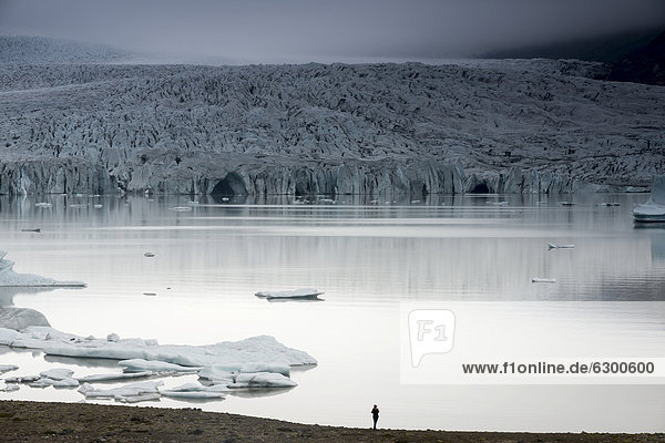 Eisberge  Gletscherzunge  Gletcherlagune Brei_·rlÛn  Vatnajökull Gletscher  Austurland  Ost-Island  Island  Europa