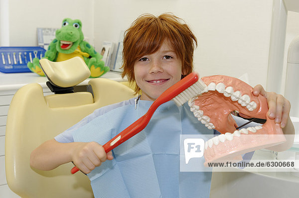Boy at the dentist's  receiving instructions for dental care on a model  dental hygiene  dental care  dental visit