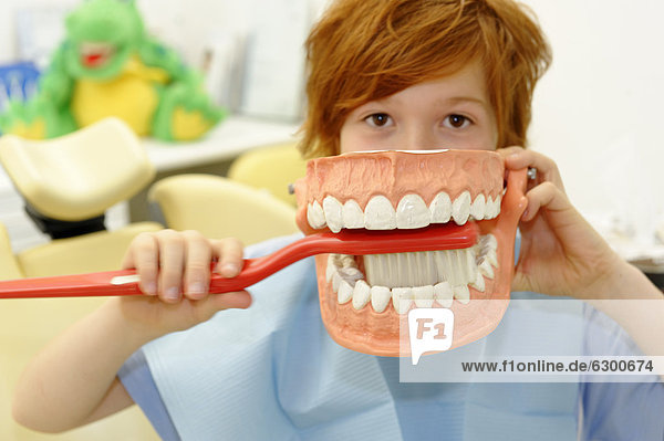 Boy at the dentist's  receiving instructions for dental care on a model  dental hygiene  dental care  dental visit
