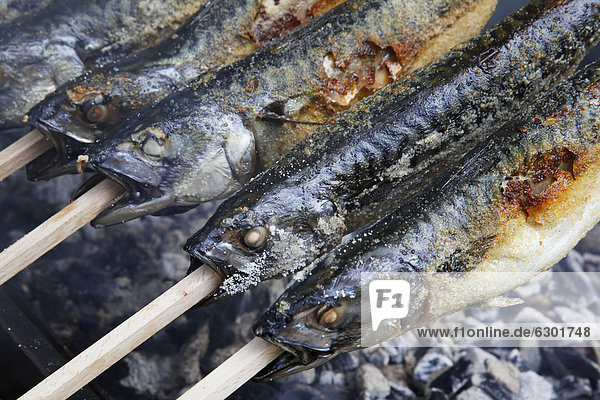 Grilled mackerels  fish on skewers  Ammerland  Lake Starnberg  Upper Bavaria  Germany  Europe
