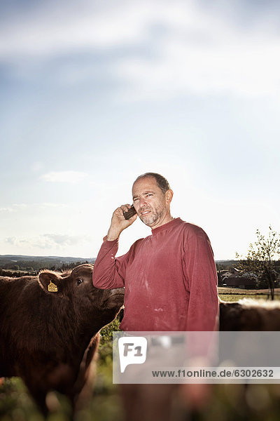 Tierarzt  Bauer mit Mobiltelefon