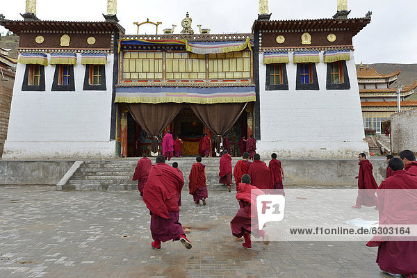 Tibetan Buddhism  Tibetan monks in red monk's robes running to the Puja ceremony in the monastery building  building in traditional architectural style  Tongren Monastery  Repkong  Qinghai  formerly Amdo  Tibet  China  Asia