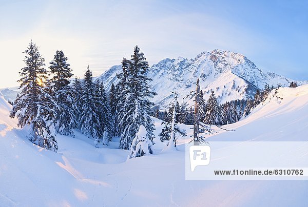 Sunset at Hoher Goell Berchtesgaden Alps Bavaria Germany Europe