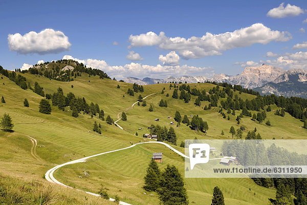 Almlandschaft im Naturpark Puez-Geisler  Dolomiten  Südtirol  Italien