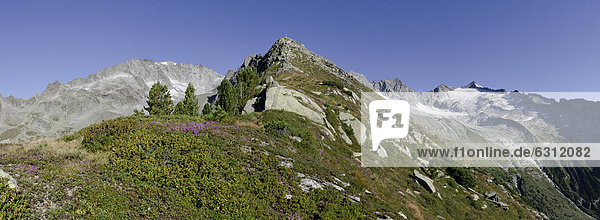 Kreuzkofel im Ahrntal  Dolomiten  Südtirol  Italien