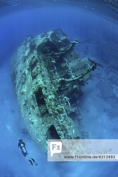 Wreck in the Red Sea near Marsa Alam  Egypt