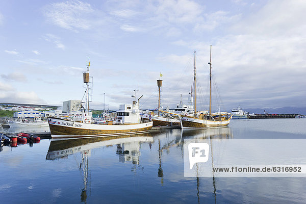 Hafen von H_savik  Island  Europa