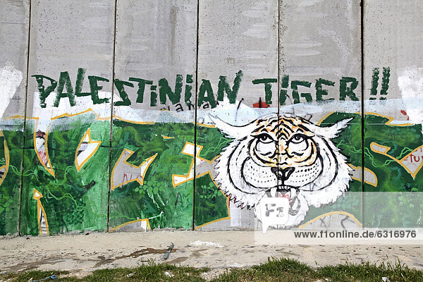 Sperrmauer mit Graffiti  palästinensische Seite  zwischen Bethlehem  Westjordanland und Jerusalem  Israel  Naher Osten