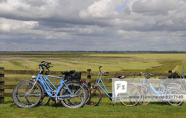 Fahrräder auf der Hamburger Hallig  Nordfriesland  Schleswig-Holstein  Deutschland  Europa
