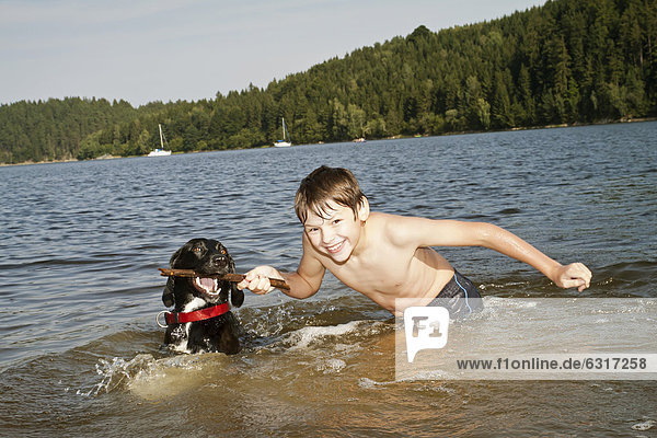 Boy playing with his hunting dog in a lake