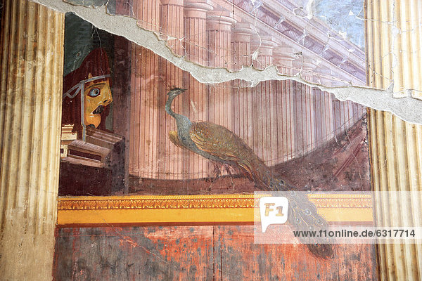 Villa der Poppea  tragische Maske und Pfau  Reste des Freskenschmuckes  historische Stadt Oplontis  heute Torre Annunziata  Kampanien  Italien  Europa