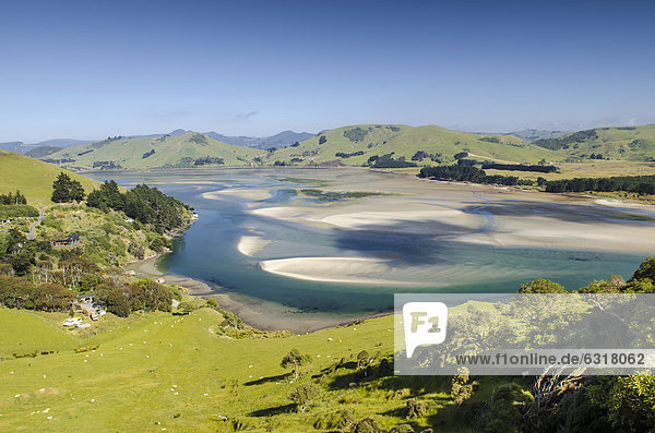Hoopers Inlet  Otago Peninsula  Südinsel  Neuseeland  Ozeanien