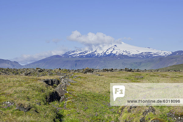 Spalte in einem überwachsenen Lavafeld  dahinter der SnÊfelljökull  Bu_ir  SnÊfellsness  Island  Europa