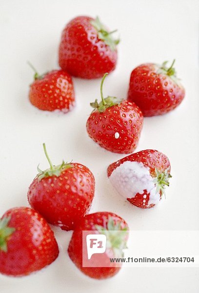 Erdbeeren in Sahne