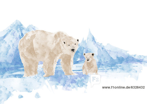 Eisbär  Ursus maritimus  Mutter - Mensch  Baby