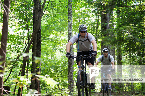 Two men mountain biking in forest