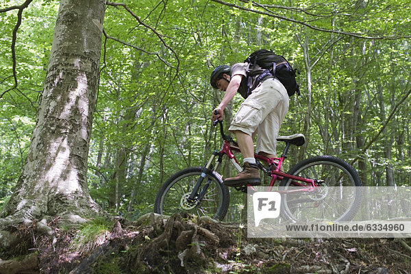 Young man riding mountain bike in woods  low angle view