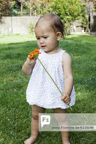 Baby girl holding daisy