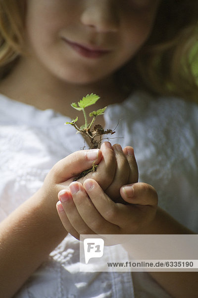 Girl holding seedling  cropped