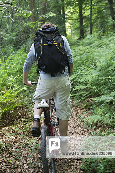 Man riding bicycle through woods  rear view