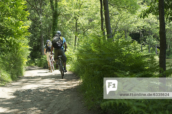 Cyclists biking through woods  rear view