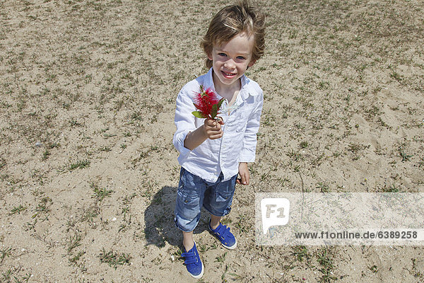 Junge mit Blume am Grasstrand