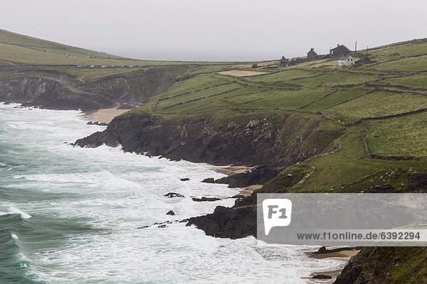 Küstenlandschaft der Dingle-Halbinsel  County Kerry  Irland  Europa